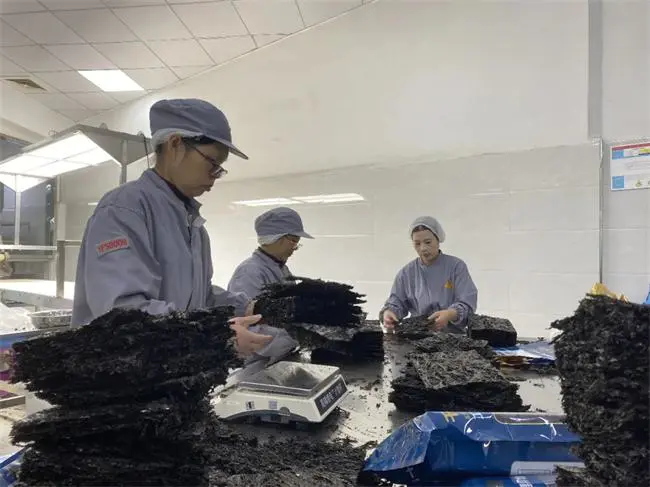 20251113_144123_003.jpg 20251113_144123_003.jpg