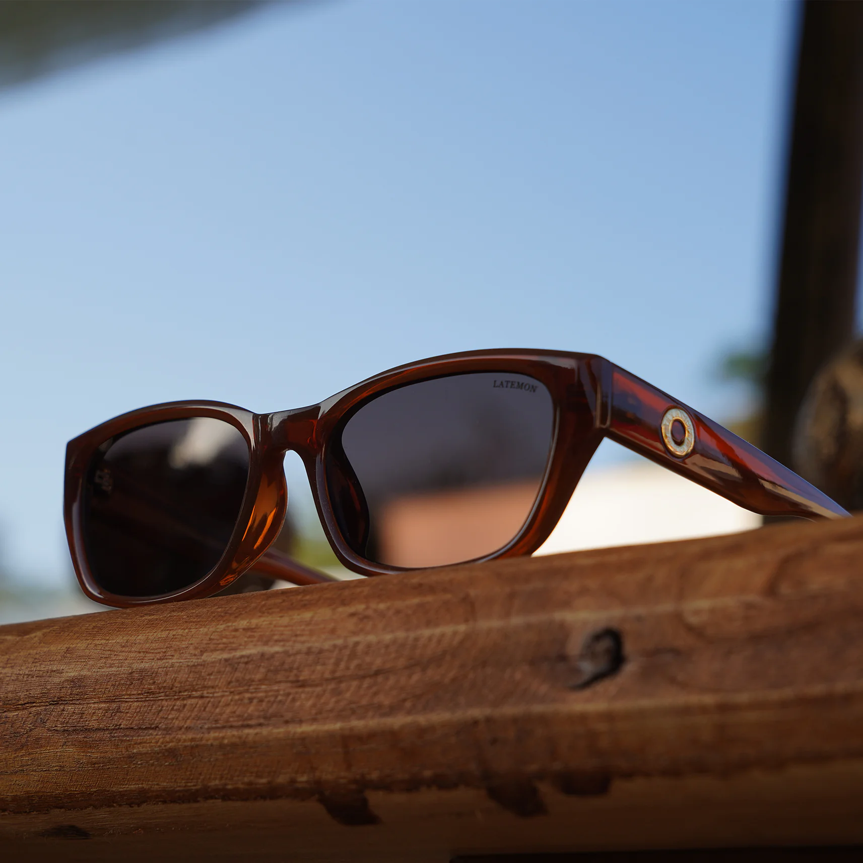 LATEMON SUNGLASSES.jpg