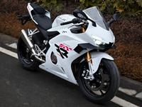 张雪机车放榜:一月份250排量以上单车销量榜,张雪500RR夺冠