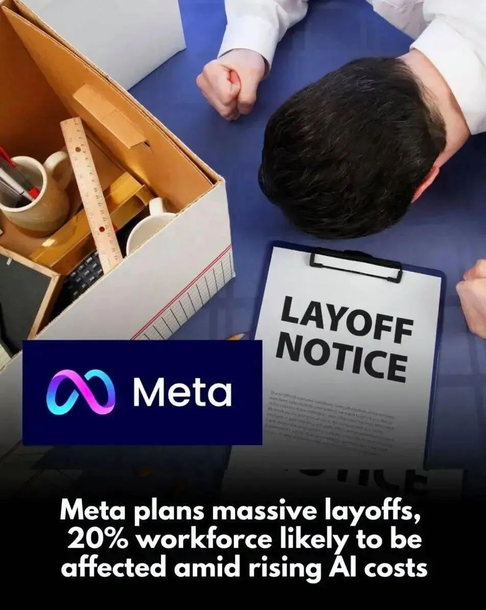 微信å¾ç_2026-03-26_153201_790.jpg 微信å¾ç_2026-03-26_153201_790.jpg