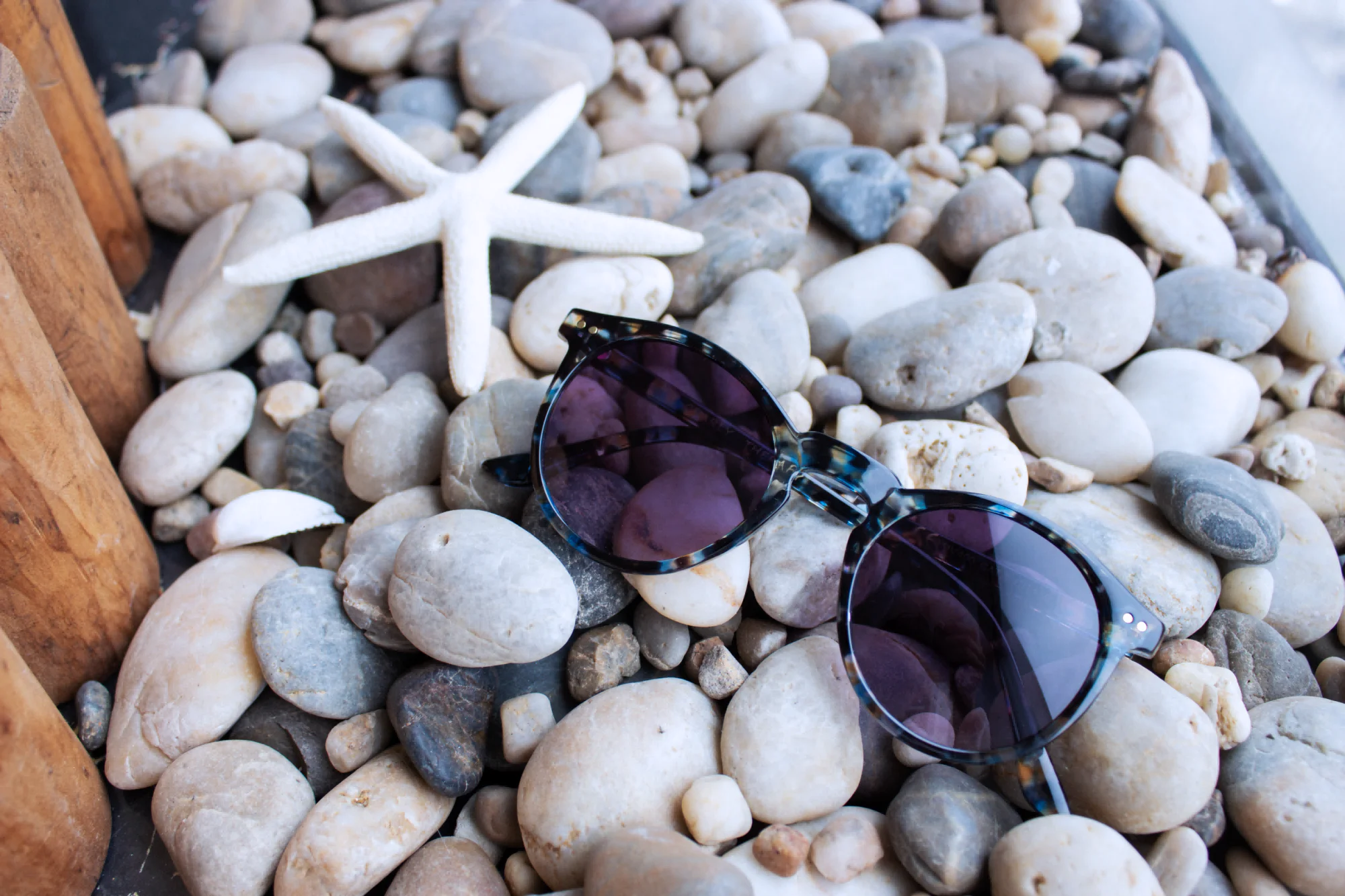 ç¢åç
§3.png ç¢åç
§3.png