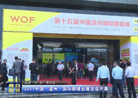 2017中国（温州）国际眼镜业展览会开幕-《温州新闻联播》
