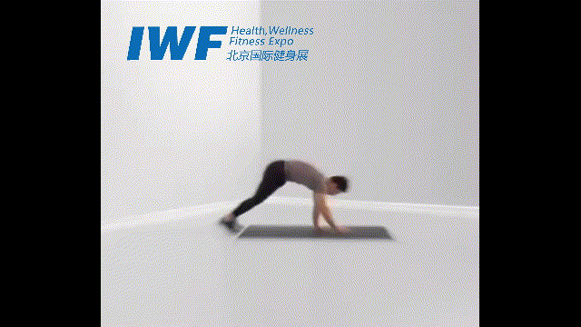 16.gif