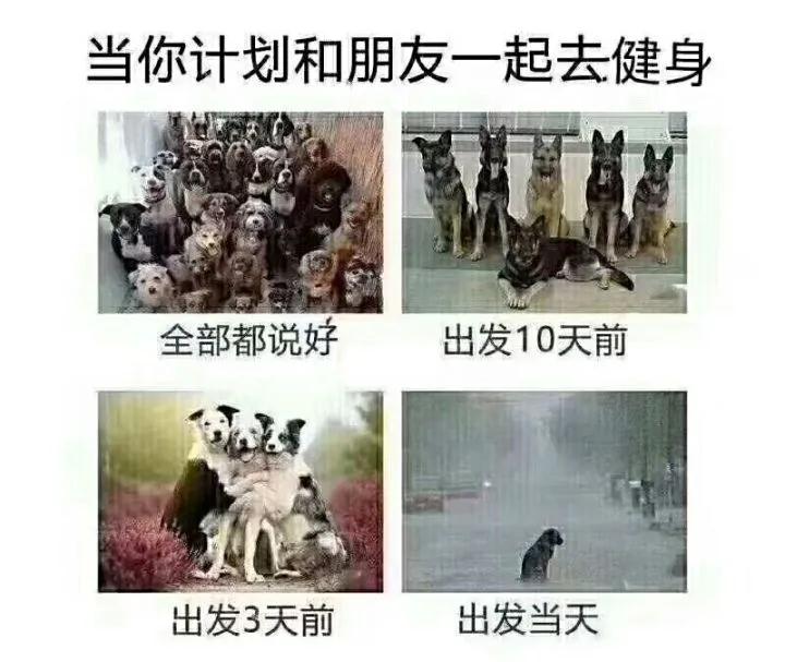 å¾®ä¿¡å¾ç_20200403103616.jpg