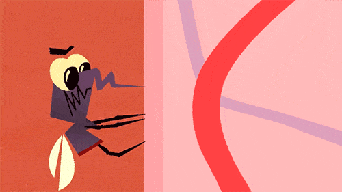 640.gif