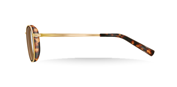 Richmond-Power_TURTLE02.jpg