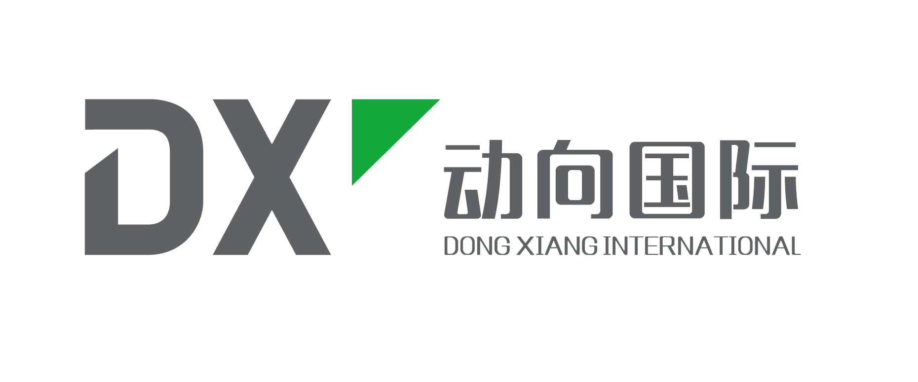 动向国际