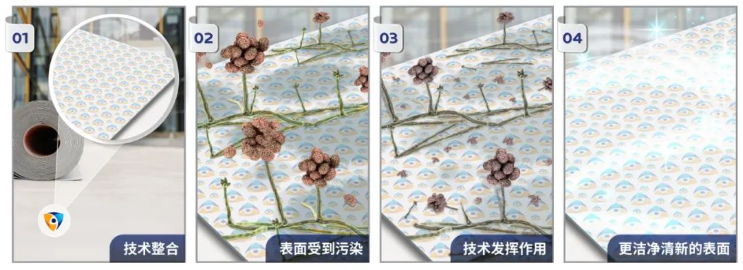 æè1.jpg