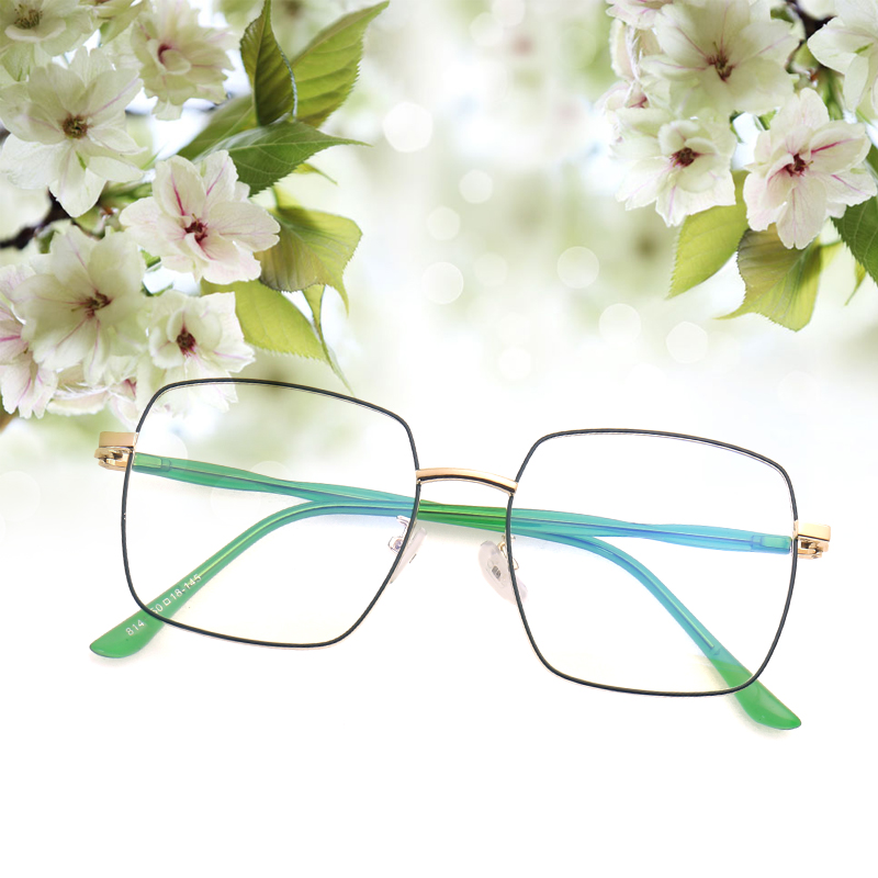 eyeglasses frame