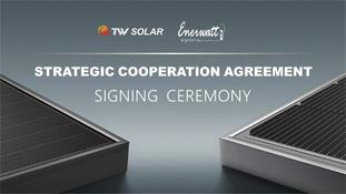 Signed 150MW module agreement! Tongwei enters Brazil