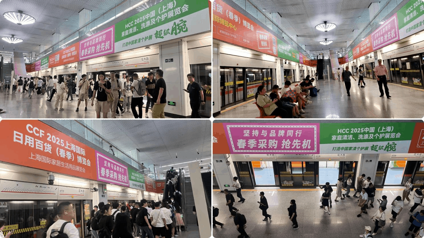 ccfå¹¿å.png