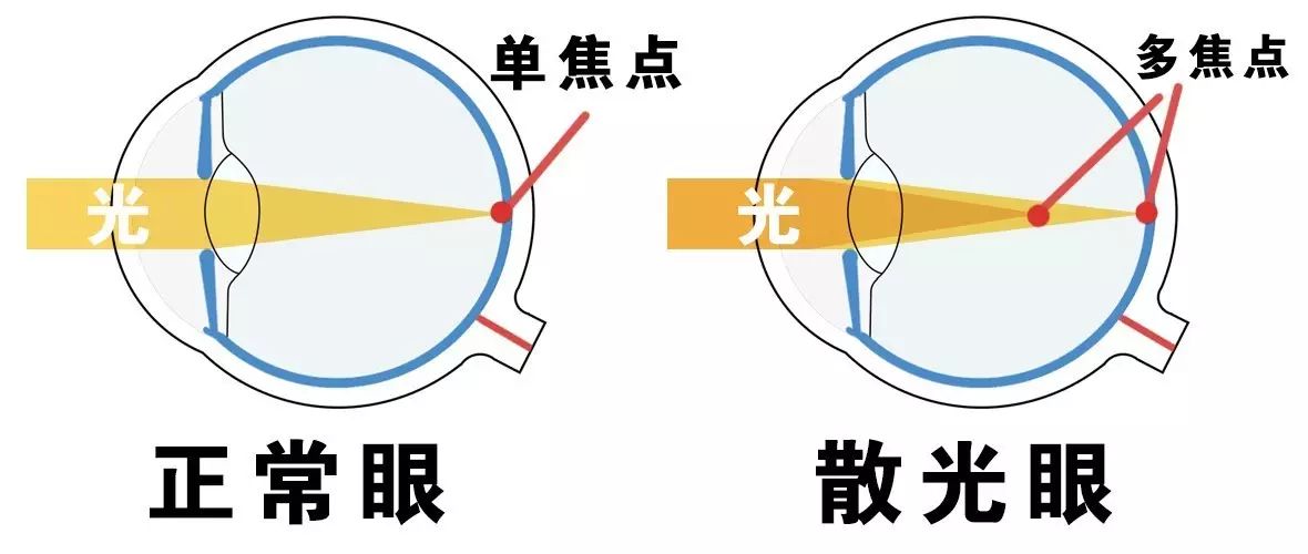 å¾®ä¿¡å¾ç_20241114144157.jpg