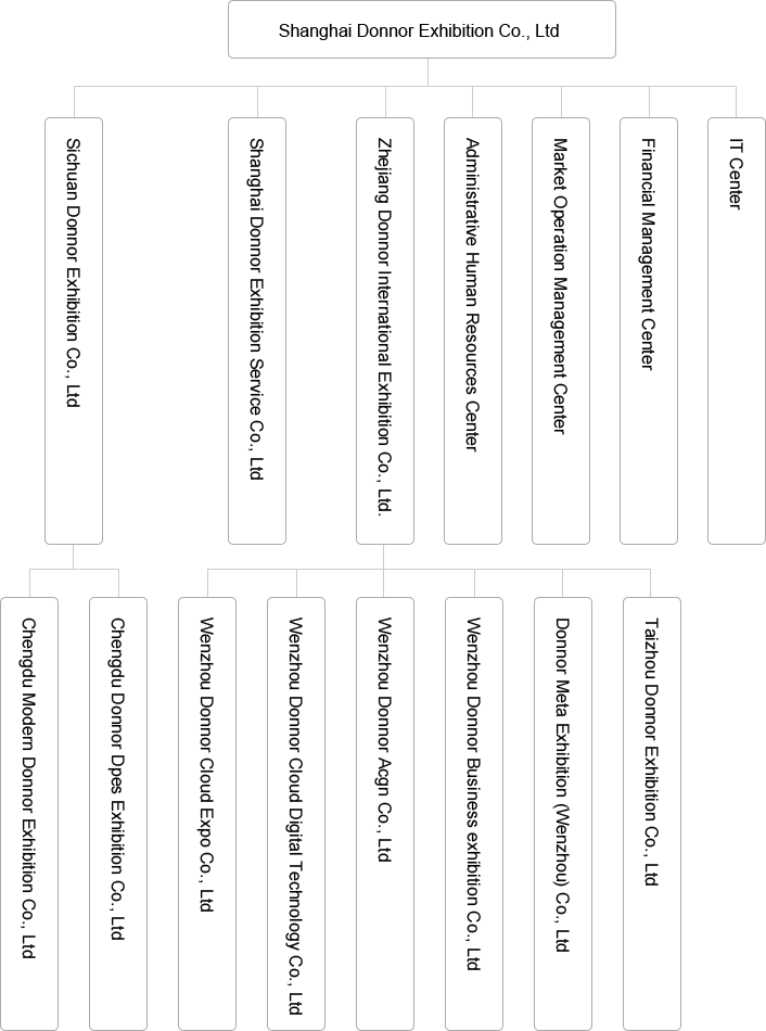 company structure