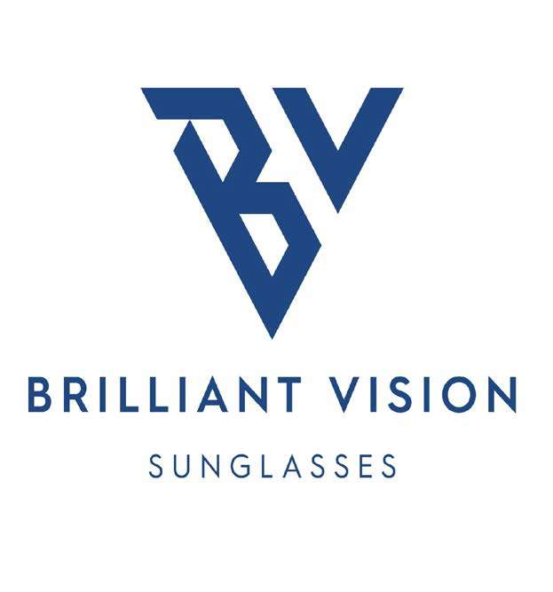 bv logojpg.jpg