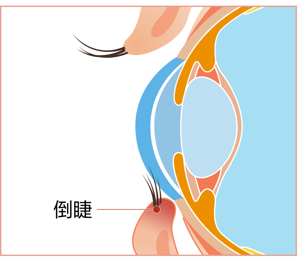 å¾®ä¿¡å¾ç_2025-09-29_141453_350.png