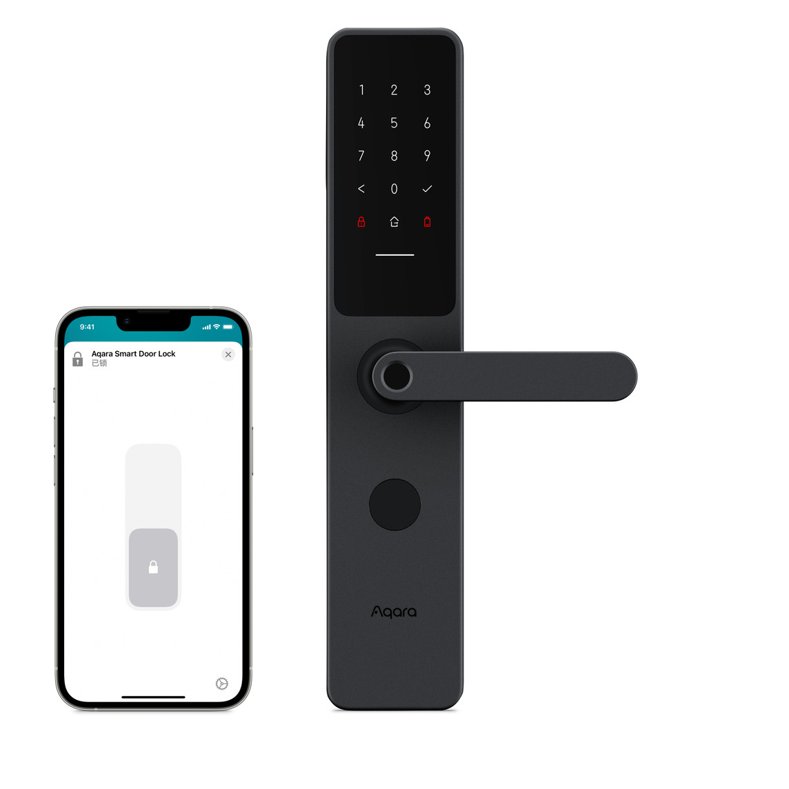 A Comprehensive Overview of Mainstream Biometric Recognition Methods for Smart Locks