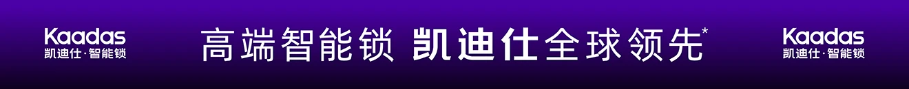 凯迪仕智能锁