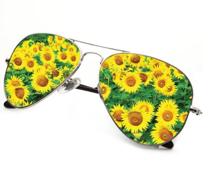 What Is Sustainable Eyewear?